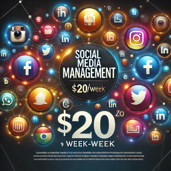 Week Social Media Management Bronze