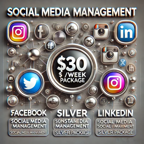 Social Media Management Silver